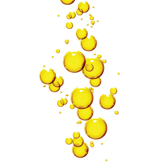Learn Cannabis Extracts